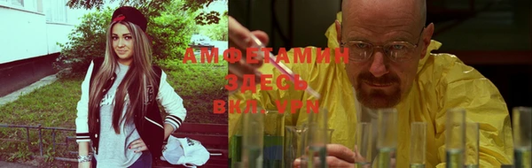 ПСИЛОЦИБИНОВЫЕ ГРИБЫ Алексин