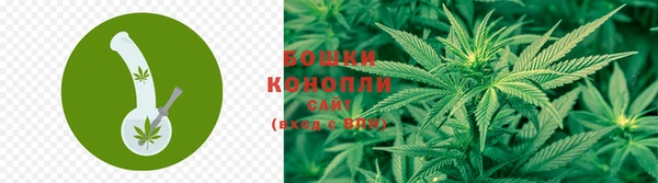 ПСИЛОЦИБИНОВЫЕ ГРИБЫ Алексин