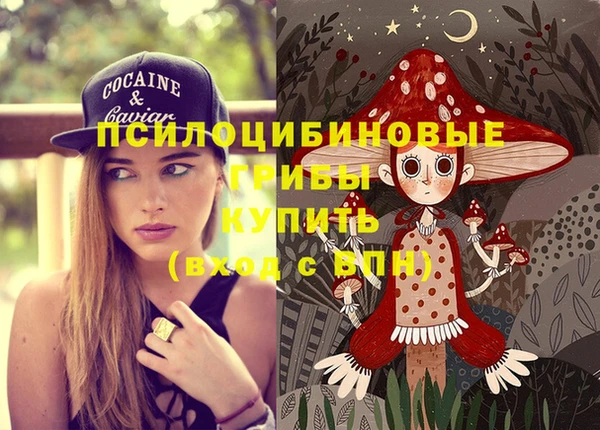 стафф Алзамай
