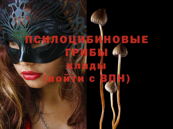 ПСИЛОЦИБИНОВЫЕ ГРИБЫ Алексин