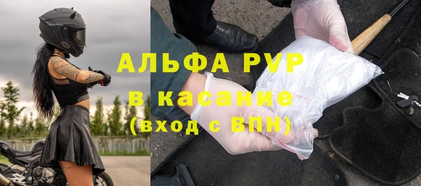 стафф Алзамай
