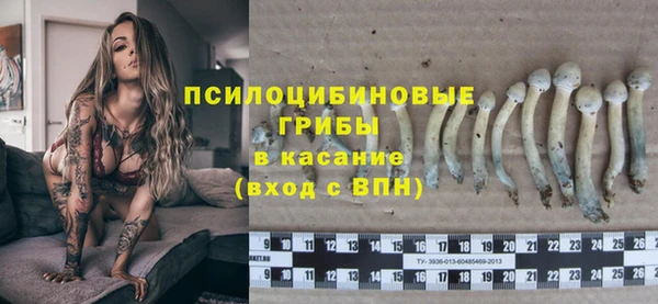хмурый Алексеевка