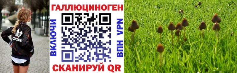где купить наркоту  Шумиха  Псилоцибиновые грибы Magic Shrooms 